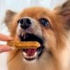 【無添加 国産】兵庫産 スズキスティック 50g 看板犬ポノが食べている姿