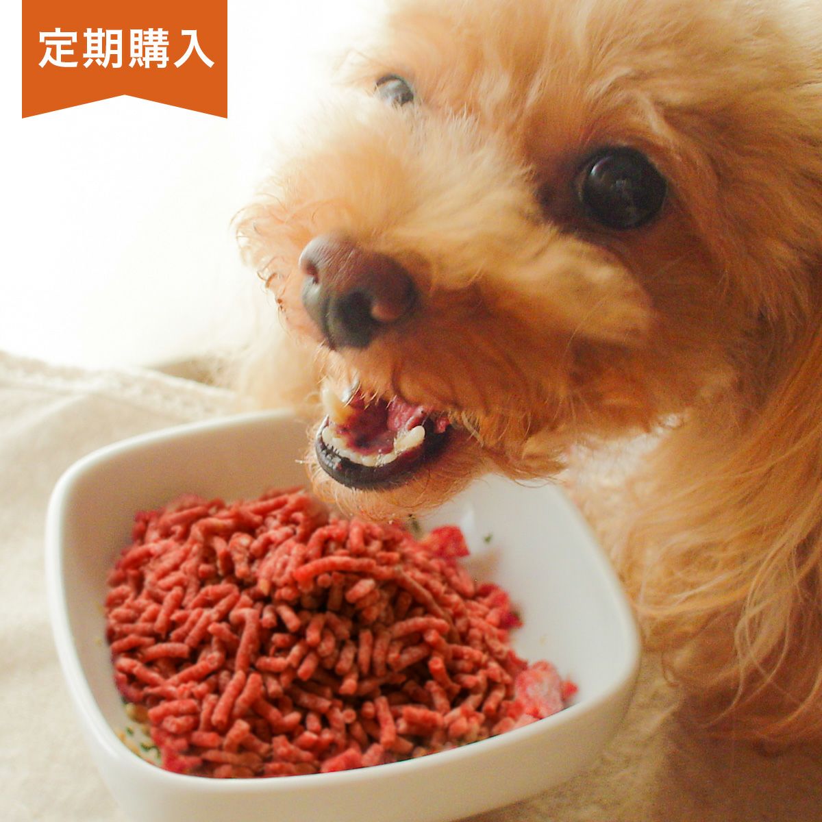 犬馬肉 | 生馬肉パラパラミンチ | 【公式】イリオスマイル