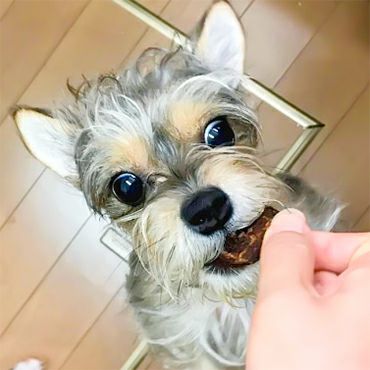 【無添加 国産】牛タンチップ 150g