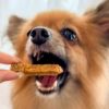 週末セール：【無添加 国産】兵庫産 スズキスティック 50g