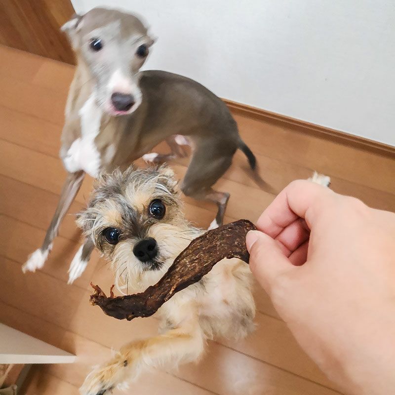 週末セール：【無添加】馬すね肉 50g