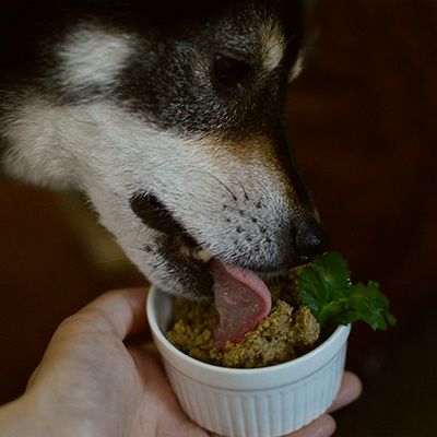 【Bioliob ビオリオーブ】ビオ サーモン 夏のごちそう モリンガ和え