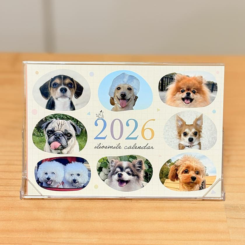 イリオスマイルオリジナルカレンダー2024