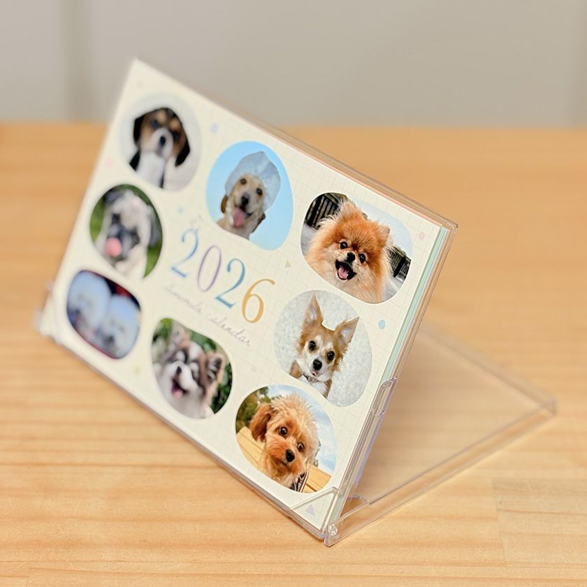 イリオスマイルオリジナルカレンダー2024