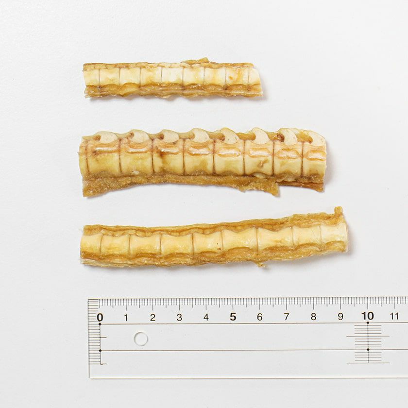 【無添加】オーストラリア産 サメ軟骨 50gは長めのものから短めのものまでバラバラです