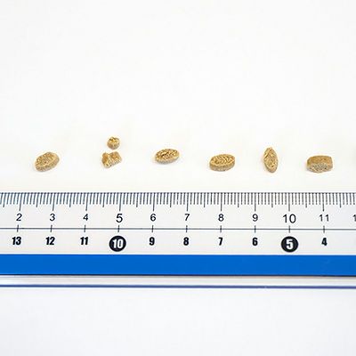【Yum Yum Yum! ヤムヤムヤム】健康マネジメント 腎臓 50g
