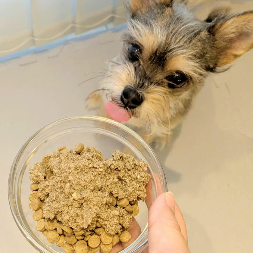 Bioliob ビオリオーブ】ラビット 春のごちそう　ミックスベリー添え