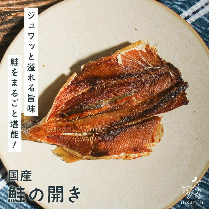 【無添加 国産】鮭のおやつ4種セット（pupuクランチサーモン、pupuビスケットサーモン、鮭の開き、鮭の厚削り）