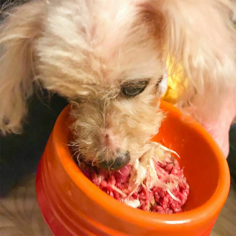 いい魚の日セール：【無添加 国産】北海道産 むしりタラ(寒干タラ) 150g×3個セット