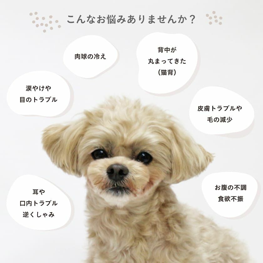 【国産】温活ホットパック マハナ -mahana- 丸型（カイロ&カバーセット）