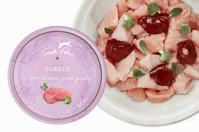 訳ありセール：《ネコ用》【TerraFelis テラフェリス】モノ ターキー