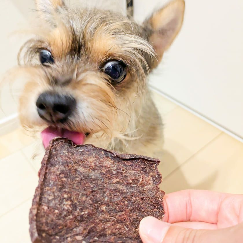 【無添加 国産】福岡産 天然鹿のやわらかジャーキー 60g