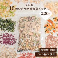 九州産 10種の彩り乾燥野菜ミックス 200g （ブドウ糖不使用）