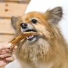 京鴨の手羽先を食べる看板犬ポノ