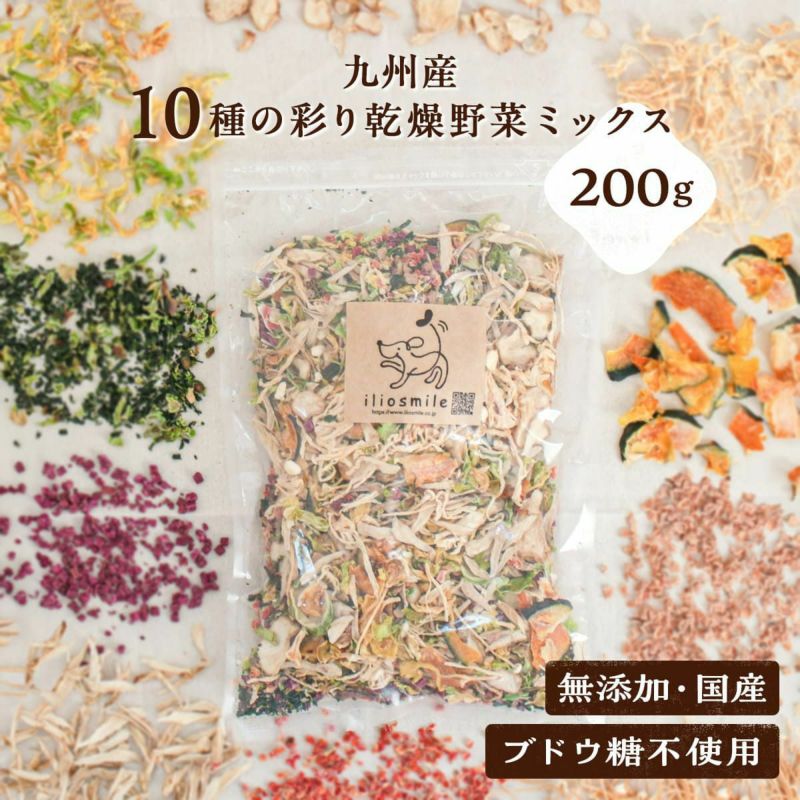  1dayセール：【国産 無添加】九州産 10種の彩り乾燥野菜ミックス 200g （ブドウ糖不使用）