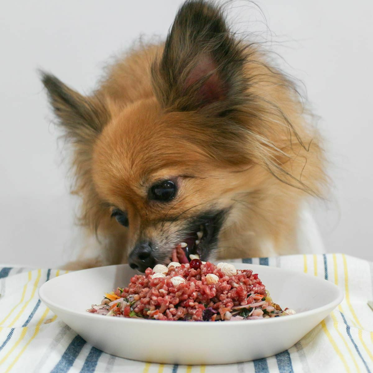  1dayセール：【国産 無添加】九州産 10種の彩り乾燥野菜ミックス 200g （ブドウ糖不使用）