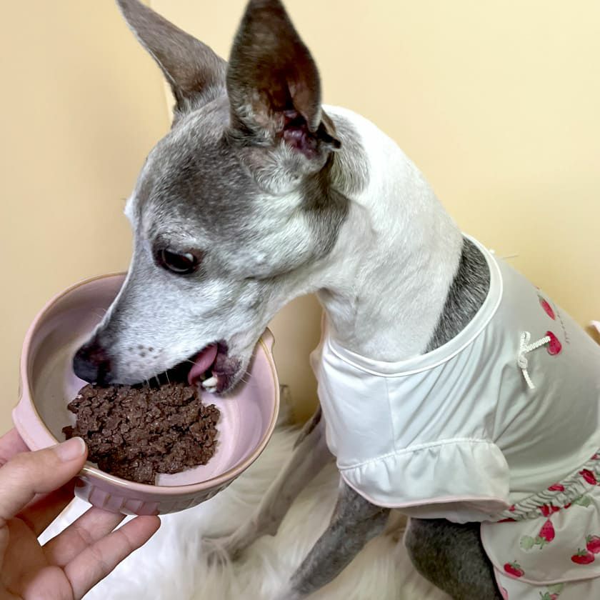 【数量限定【数量限定】★Bioliob　ビオリオーブ 春のアソートセット★