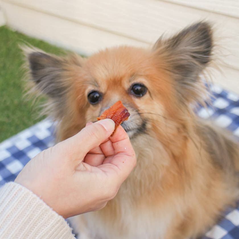【国産 無添加】鮭のぶつ切り 150g