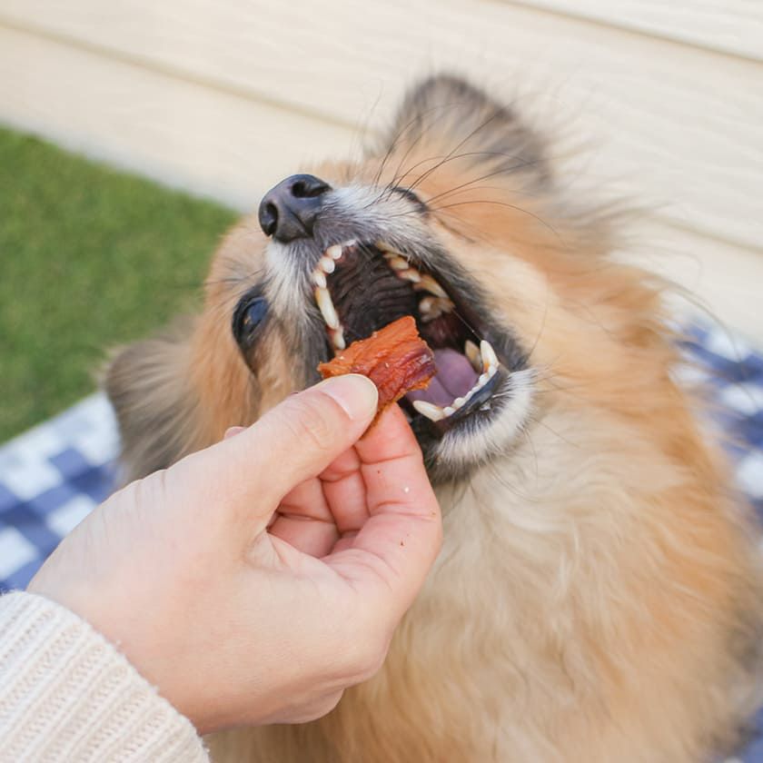 【国産 無添加】鮭のぶつ切り 150g