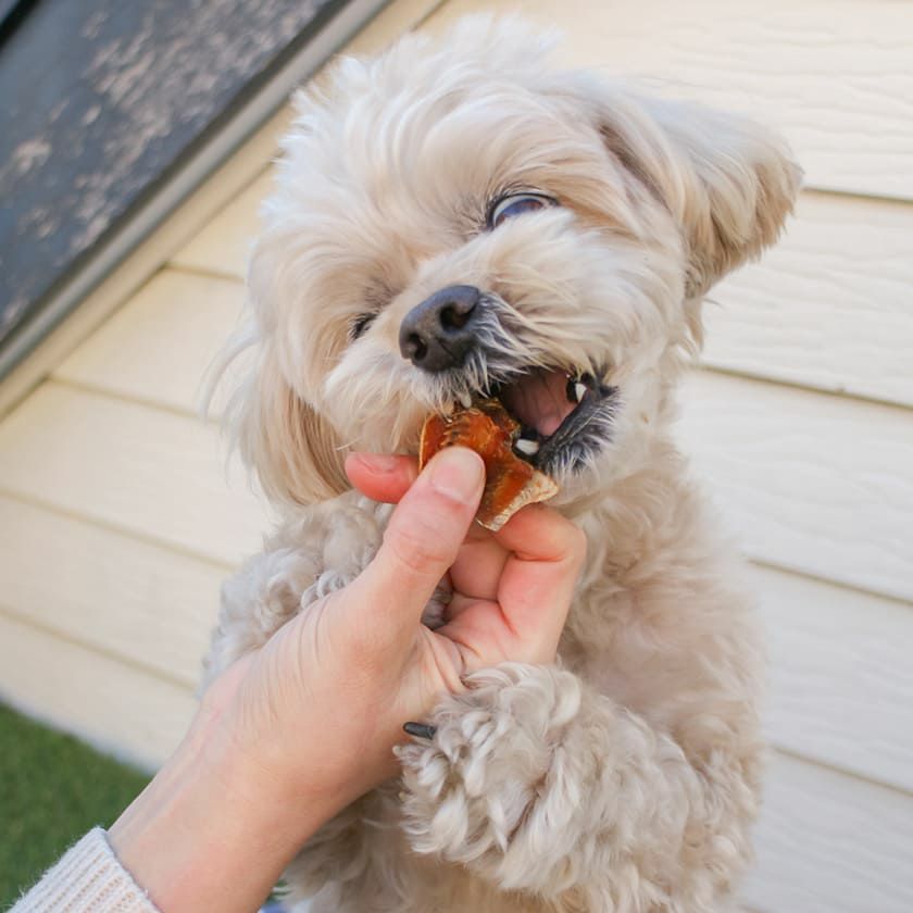 【国産 無添加】鮭のぶつ切り 150g