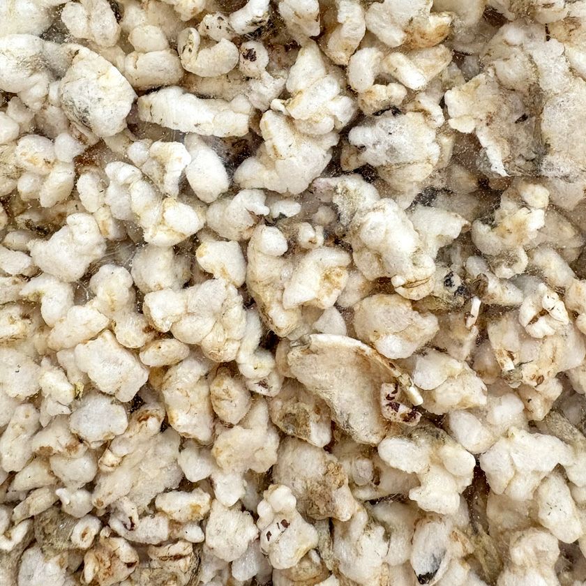 【国産 無添加】訳あり くずれぽんちりめん 50g