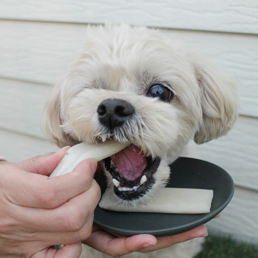 瀬戸内産 ハモかまぼこ 2本入り