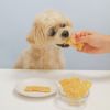 サメ軟骨MIXチップスを食べるスタッフ犬ホニ