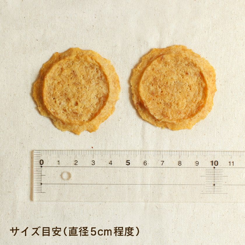 サメチップのサイズ目安