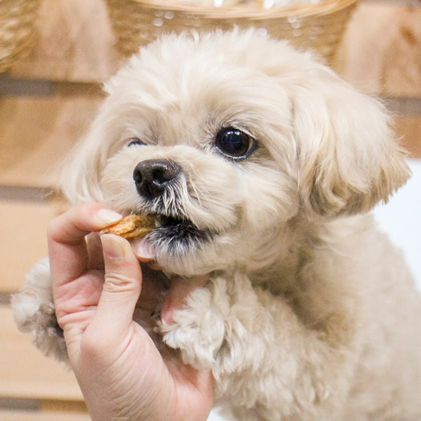 【国産 無添加】訳あり 兵庫県産 細切りささみ 50g