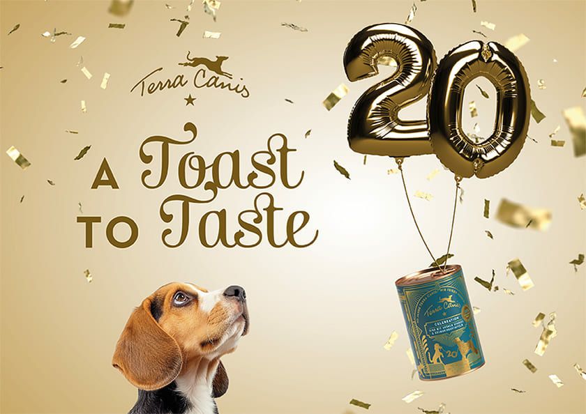 【Terra Canis テラカニス】数量限定：20周年アニバーサリーメニュー ビーフ グリーンアスパラガスとローズマリーとポテトを添えて