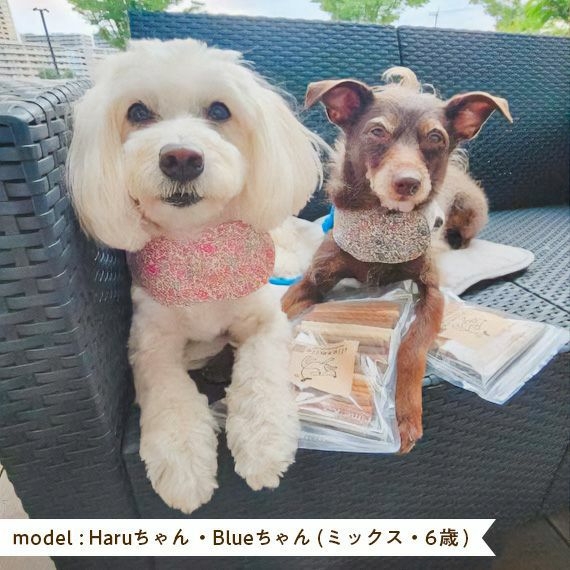 週末セール：【無添加 国産】お肉と野菜とヤギミルクのジャーキー 180g