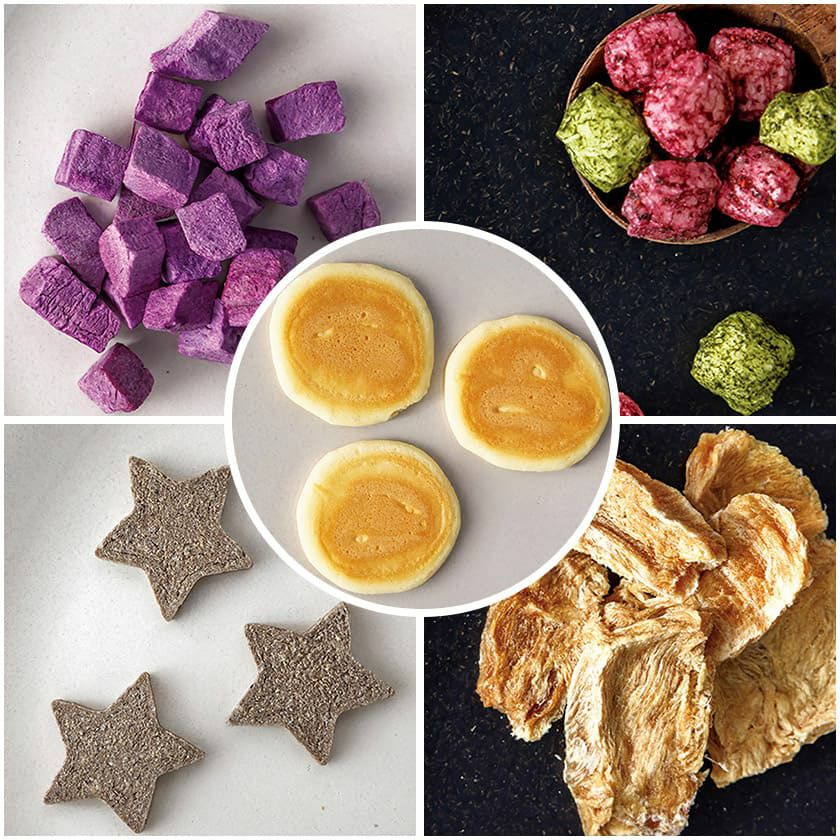 【無添加 国産】ドットわんハロウィン2025 アソートバッグ