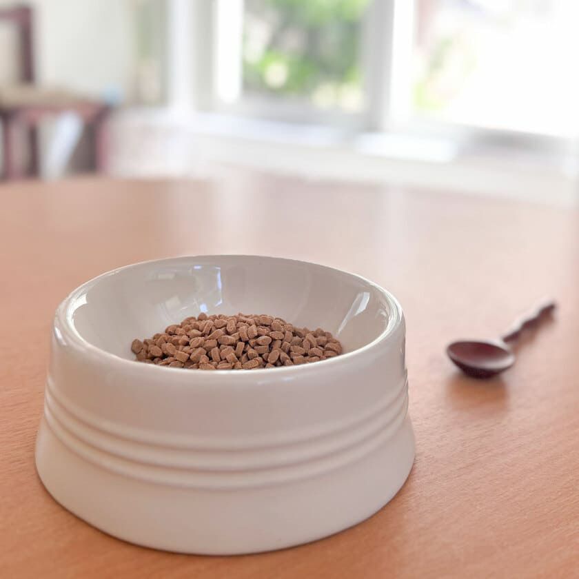 【Yum Yum Yum! ヤムヤムヤム】健康マネジメント消化サポート ちょこっとパック 50g