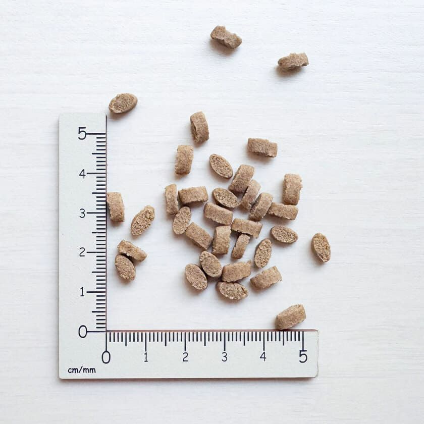 【Yum Yum Yum! ヤムヤムヤム】健康マネジメント消化サポート ちょこっとパック 50g