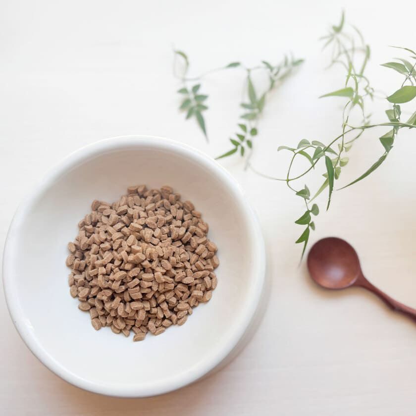 【Yum Yum Yum! ヤムヤムヤム】健康マネジメント消化サポート 500g