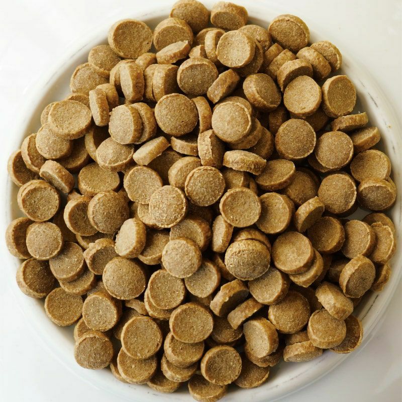 訳ありセール：【Yum Yum Yum! ヤムヤムヤム】シニア&ライト チキン ドライタイプ 500g