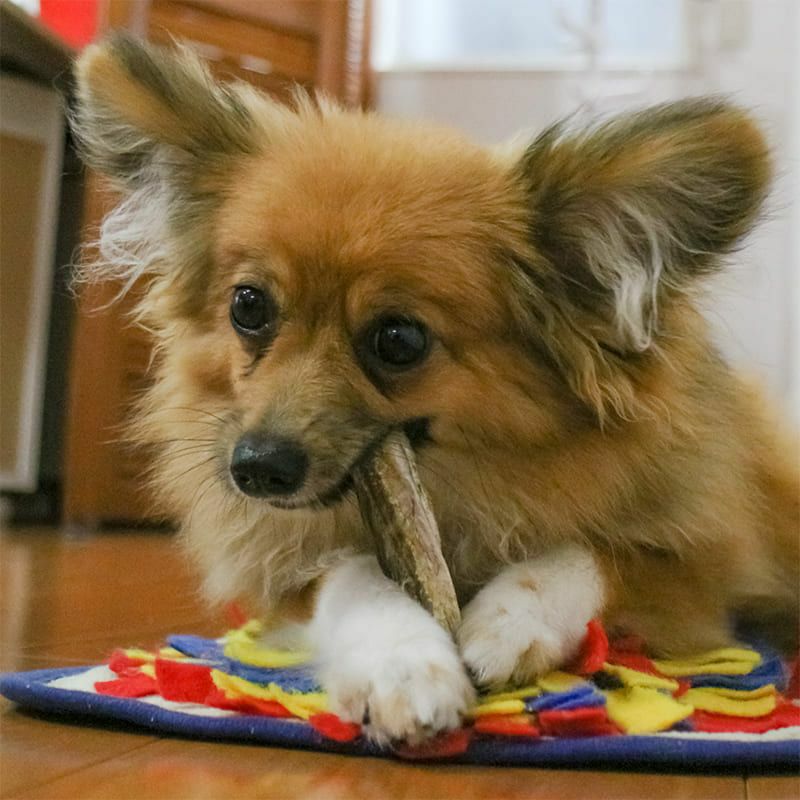 北海タラ 200g×3袋セット