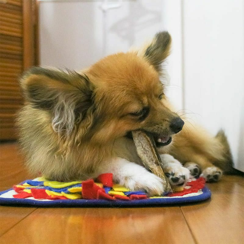 北海タラ 200g×3袋セット