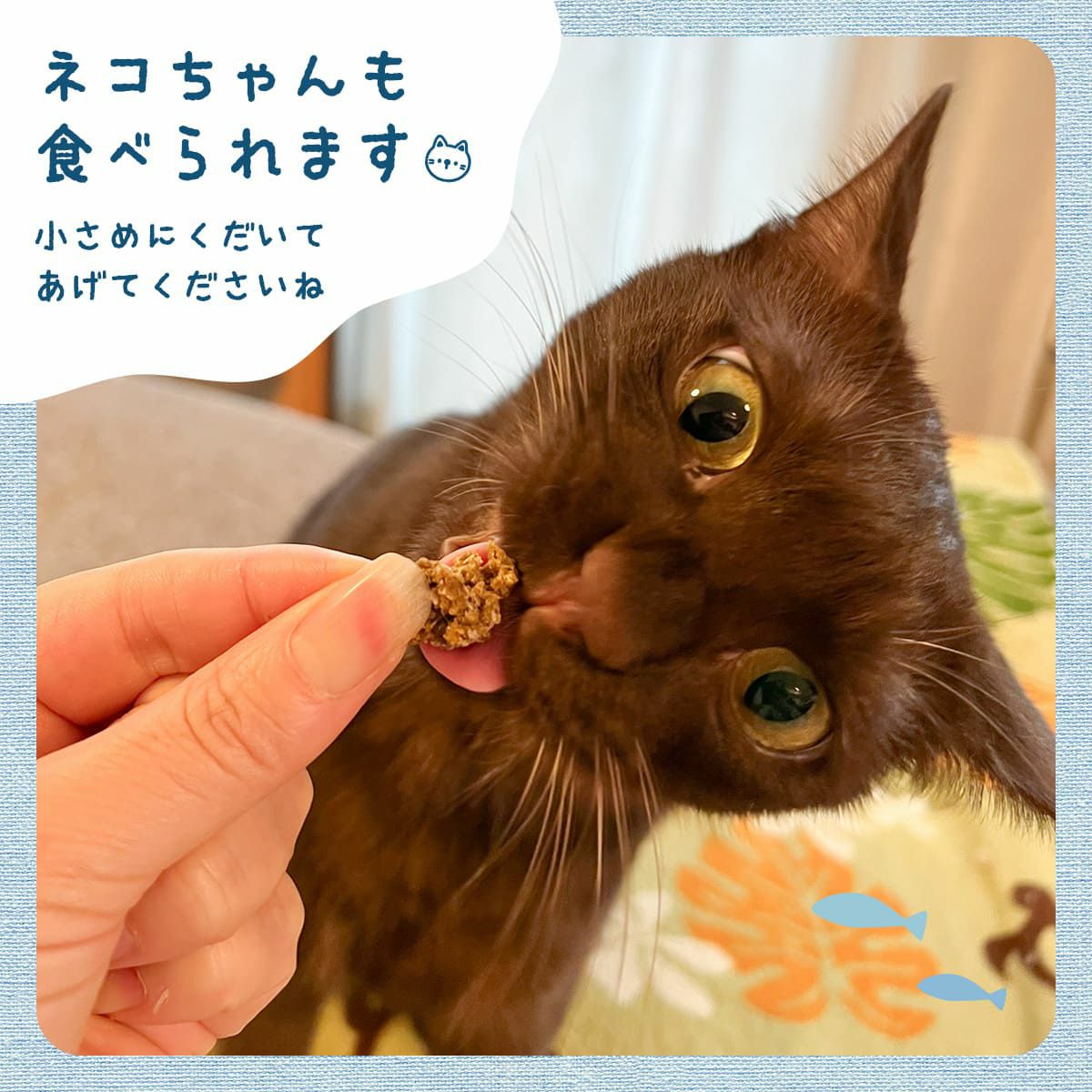 訳ありセール：【無添加 国産】北海道産 pupuクランチ カレイ 30g